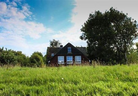 Landhaus Am Deich Dornum Zewnętrze zdjęcie